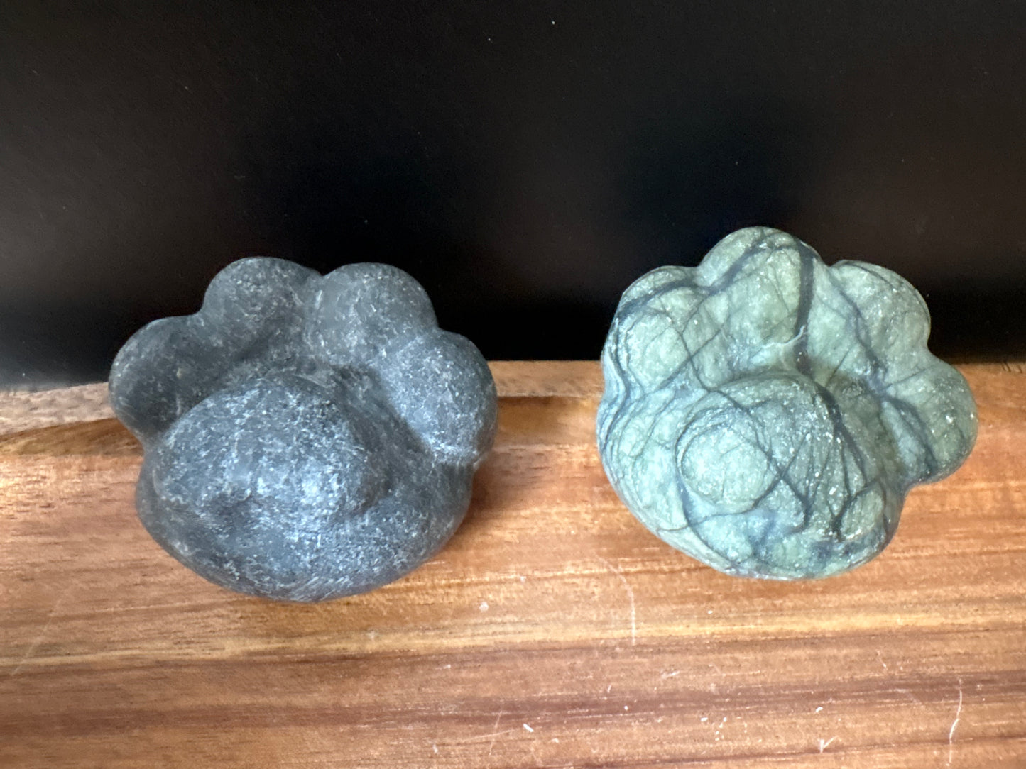 Paw Prints