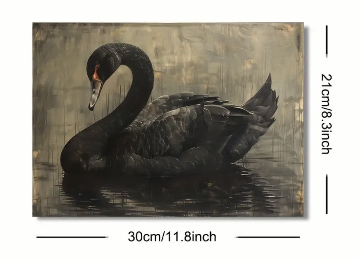 Black Swan Print on Canvas