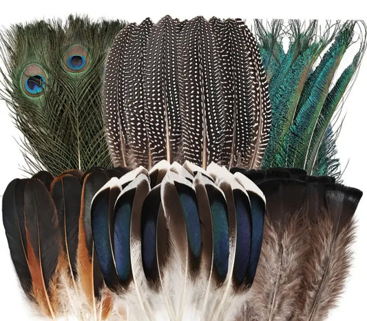 Feathers - Mixed 4-5 Feathers