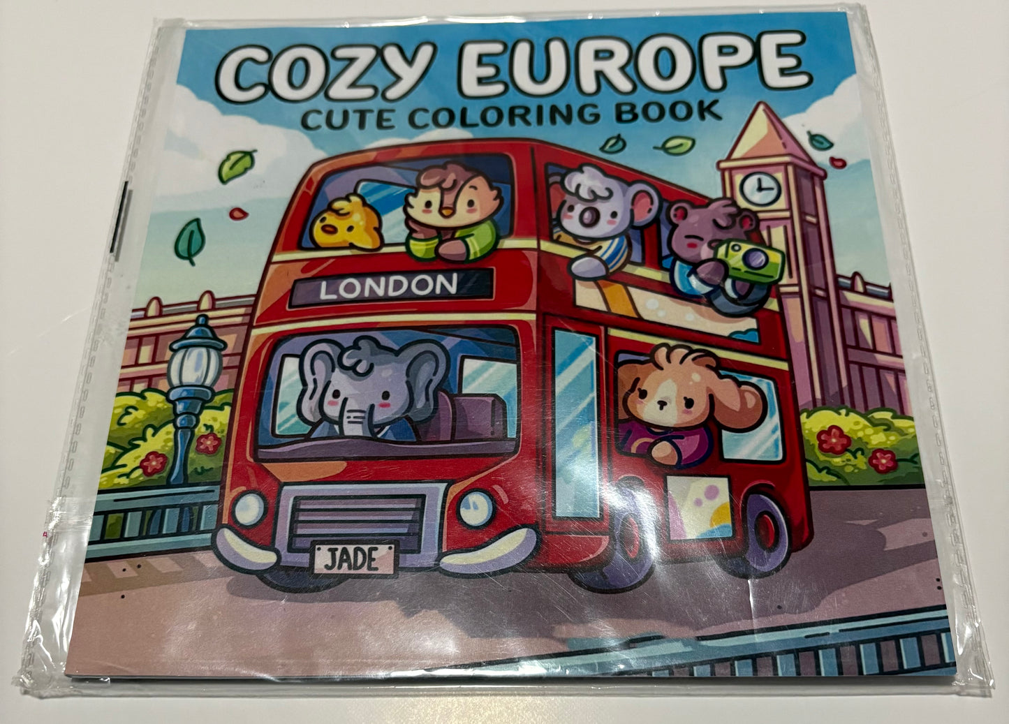 Bold & Easy Colouring Books