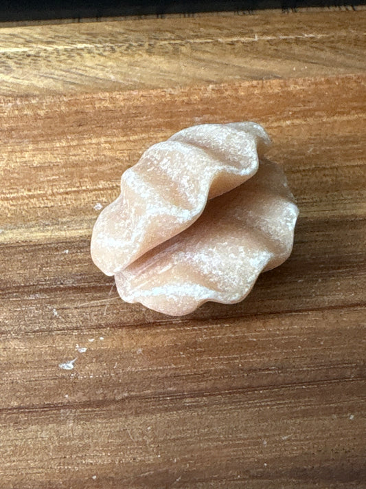 Clam Shell Carving (Variety of Types)