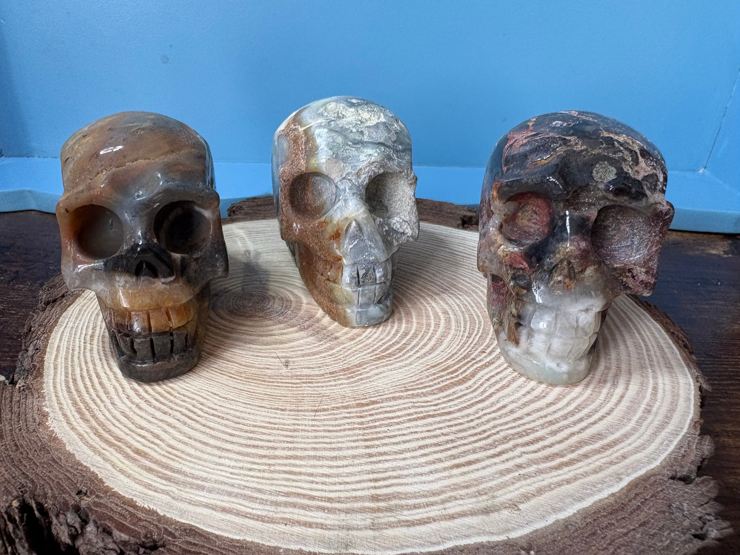 Caribbean Calcite Skulls