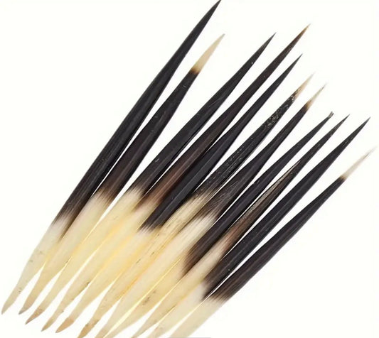 Porcupine Quills