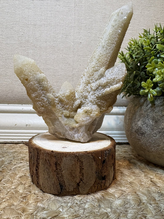 Witch Finger Quartz (multiple sizes available)