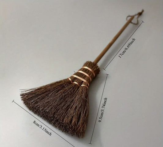 Mini Broom