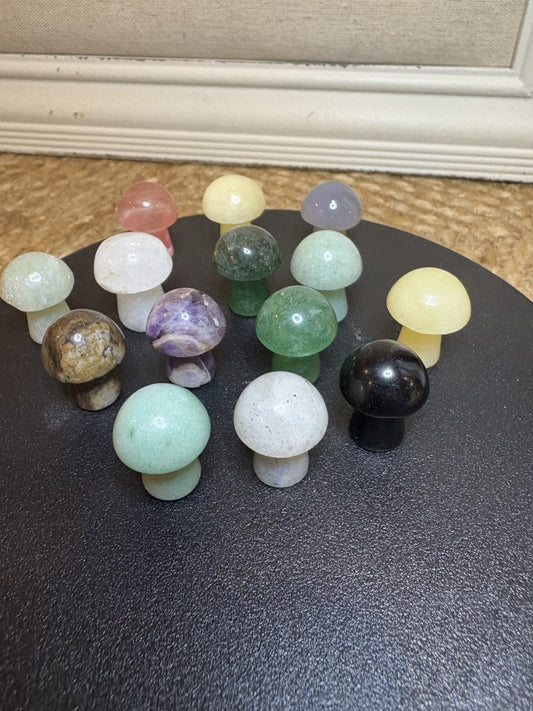 Mini Mushroom Carvings .75" (one random mushroom)