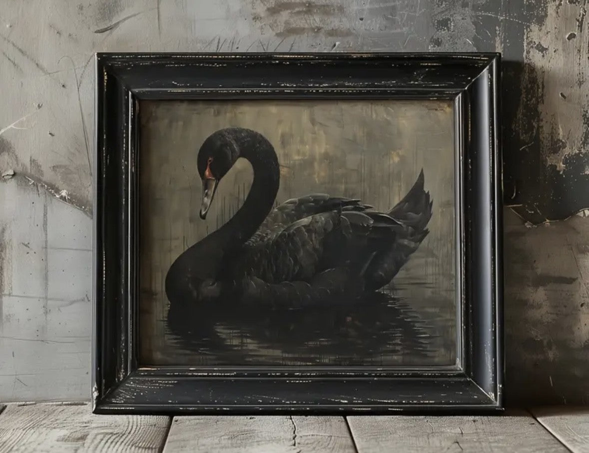 Black Swan Print on Canvas